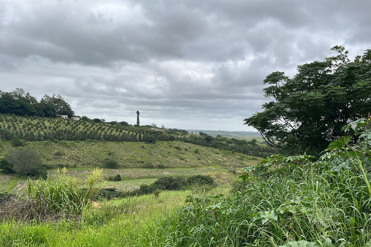 HELMSLEY COUNTRY ESTATE – NATURE | FAMILY | COUNTRY - Photo 4