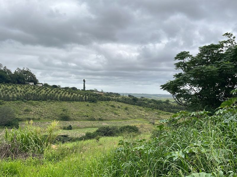 HELMSLEY COUNTRY ESTATE – NATURE | FAMILY | COUNTRY - Photo 4