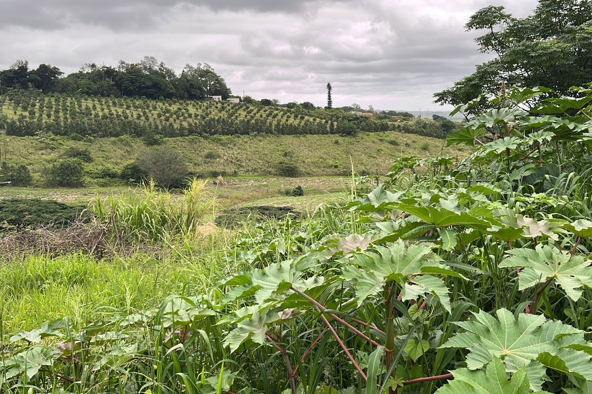 HELMSLEY COUNTRY ESTATE – NATURE | FAMILY | COUNTRY - Photo 2