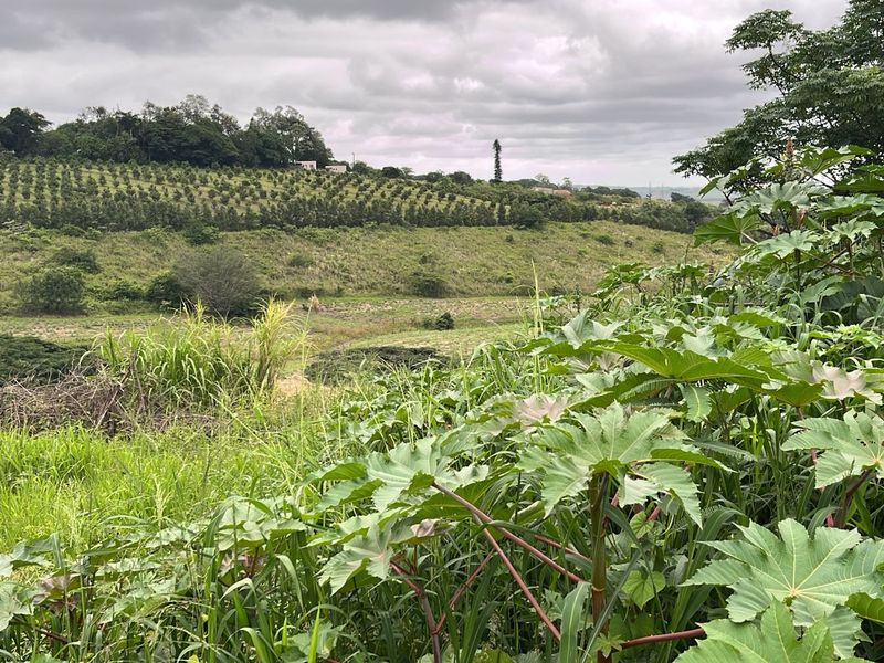 HELMSLEY COUNTRY ESTATE – NATURE | FAMILY | COUNTRY - Photo 2