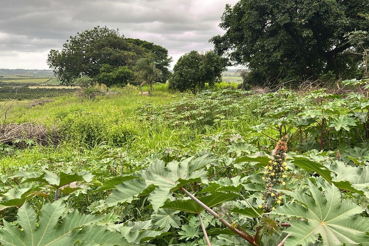 HELMSLEY COUNTRY ESTATE – NATURE | FAMILY | COUNTRY - Photo 3