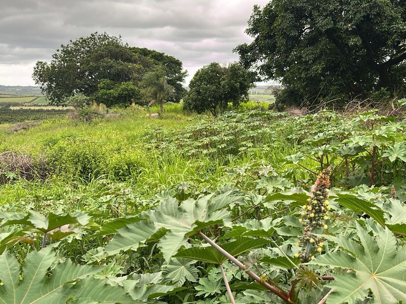 HELMSLEY COUNTRY ESTATE – NATURE | FAMILY | COUNTRY - Photo 3