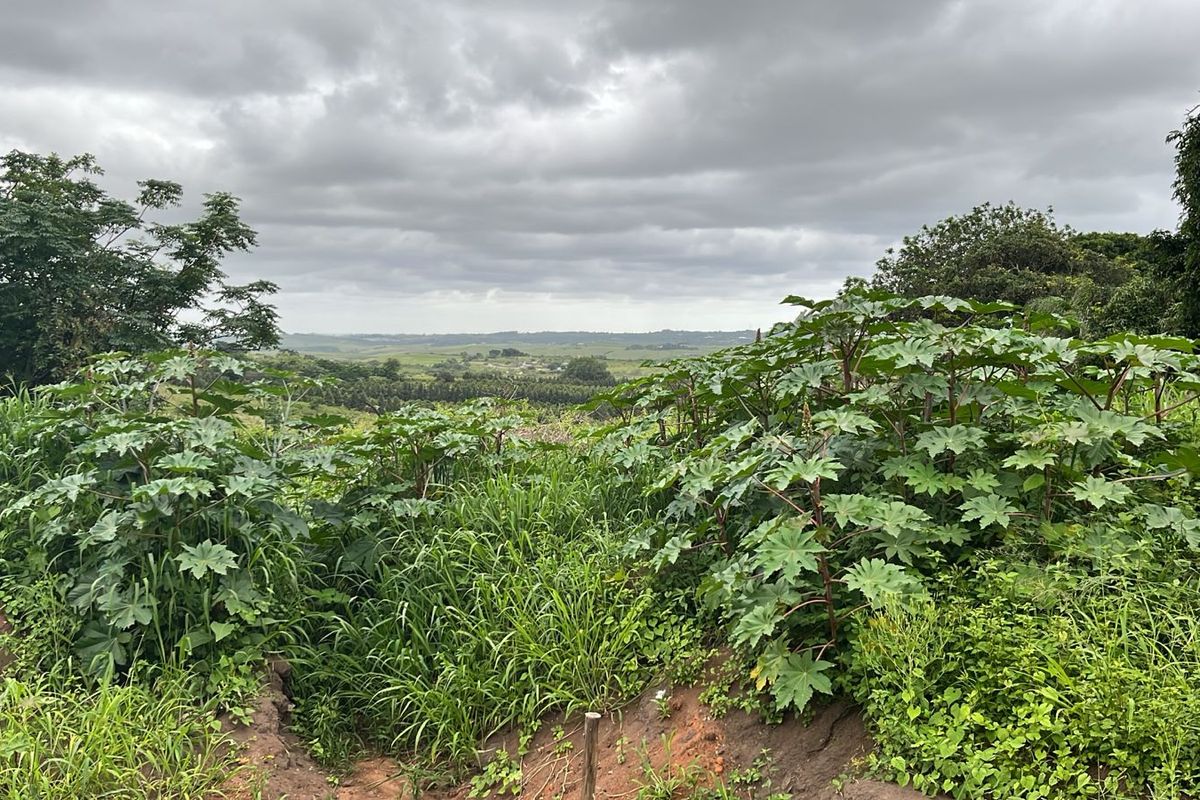 HELMSLEY COUNTRY ESTATE – NATURE | FAMILY | COUNTRY - Photo 2