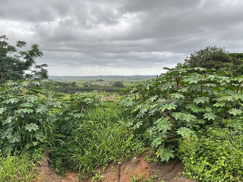 HELMSLEY COUNTRY ESTATE – NATURE | FAMILY | COUNTRY - Photo 2