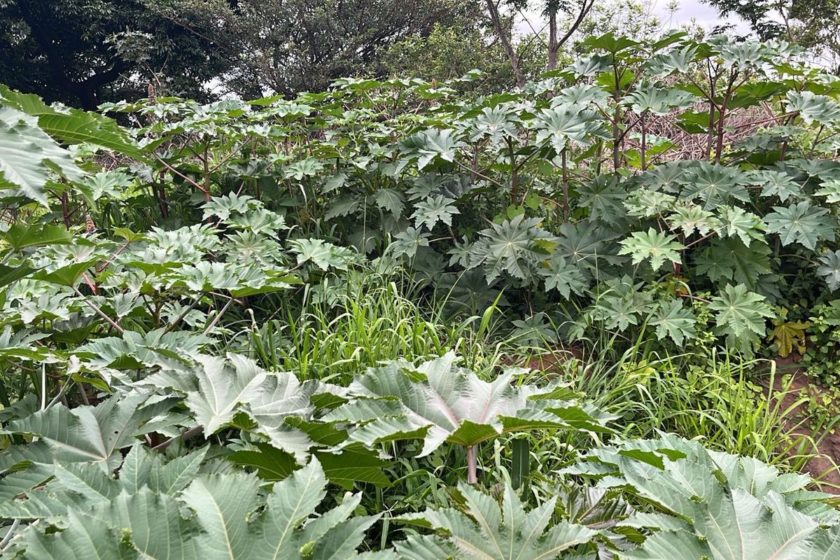 HELMSLEY COUNTRY ESTATE – NATURE | FAMILY | COUNTRY - Photo 4