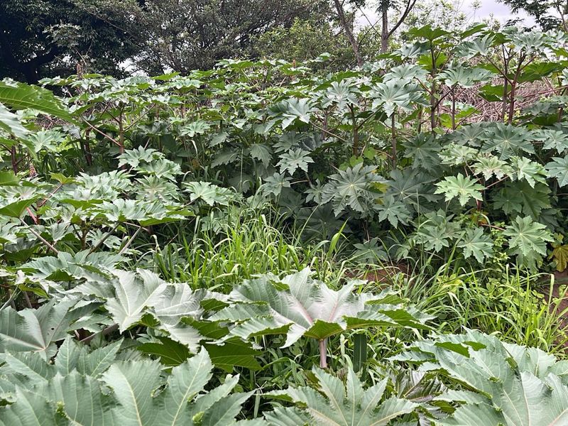 HELMSLEY COUNTRY ESTATE – NATURE | FAMILY | COUNTRY - Photo 4