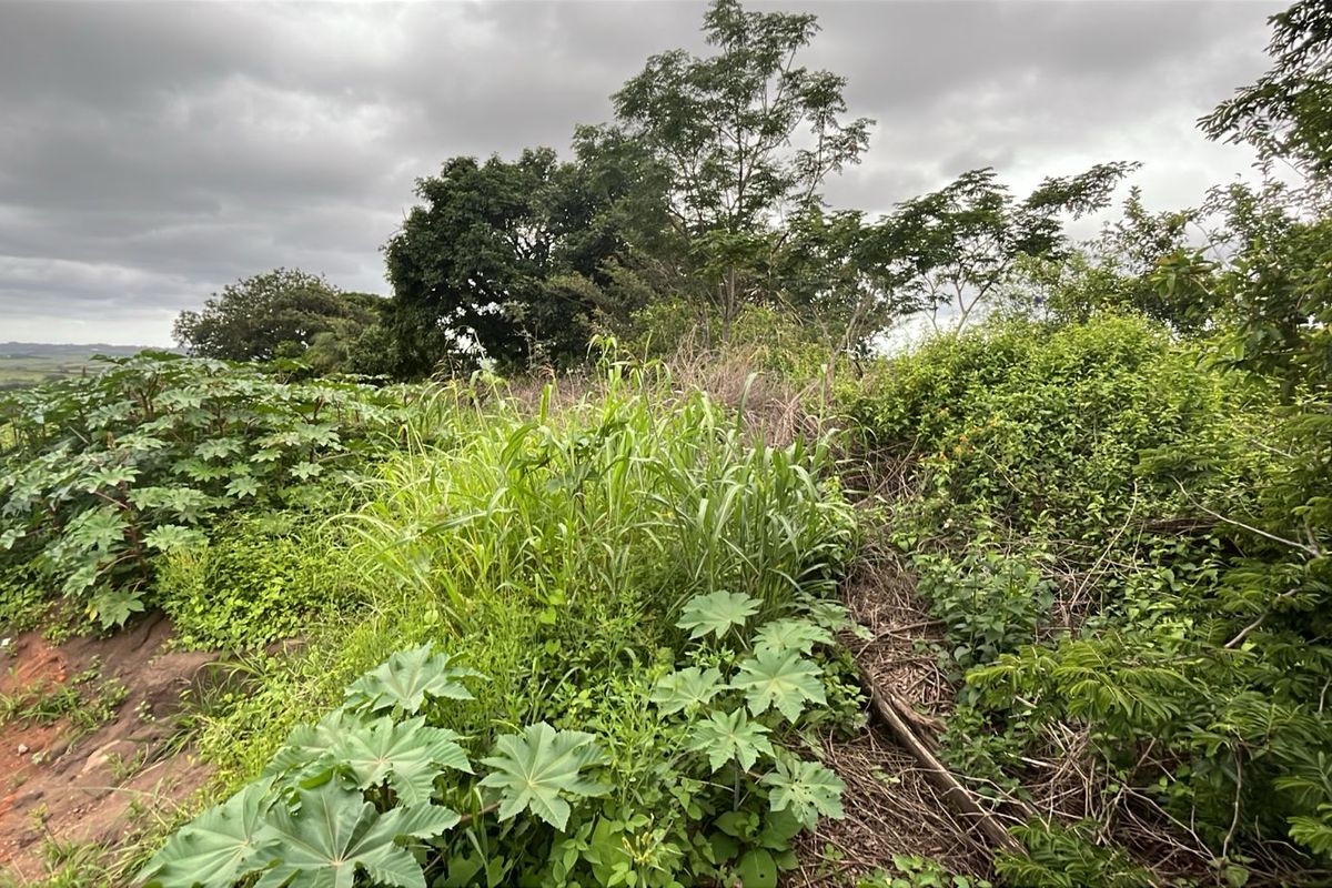 HELMSLEY COUNTRY ESTATE – NATURE | FAMILY | COUNTRY - Photo 3