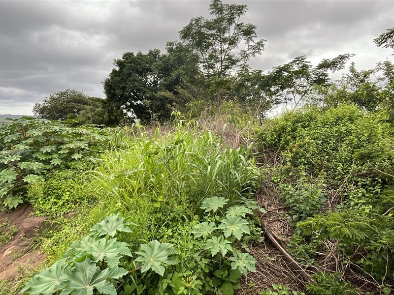 HELMSLEY COUNTRY ESTATE – NATURE | FAMILY | COUNTRY - Photo 3