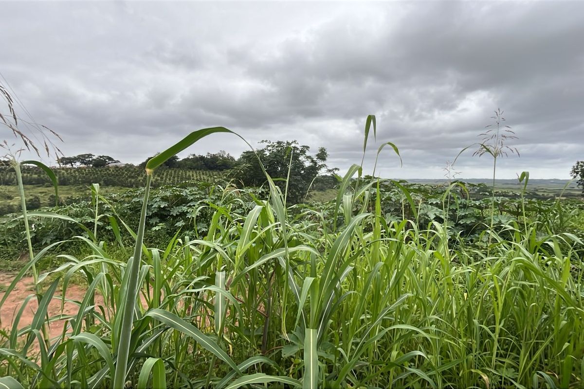 HELMSLEY COUNTRY ESTATE – NATURE | FAMILY | COUNTRY - Photo 4