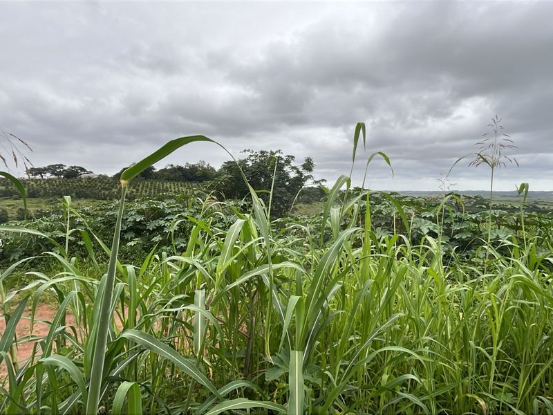 HELMSLEY COUNTRY ESTATE – NATURE | FAMILY | COUNTRY - Photo 4