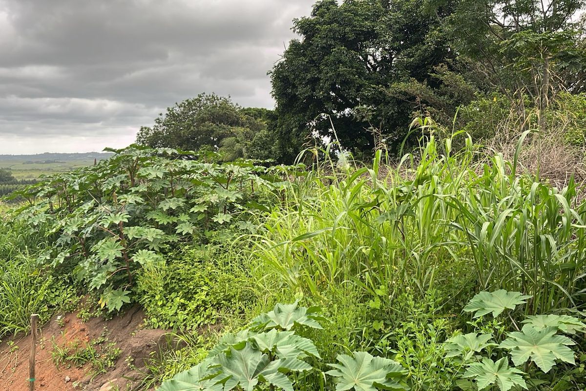 HELMSLEY COUNTRY ESTATE – NATURE | FAMILY | COUNTRY - Photo 2