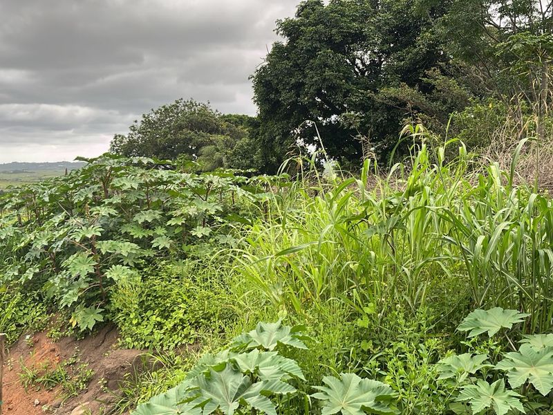 HELMSLEY COUNTRY ESTATE – NATURE | FAMILY | COUNTRY - Photo 2