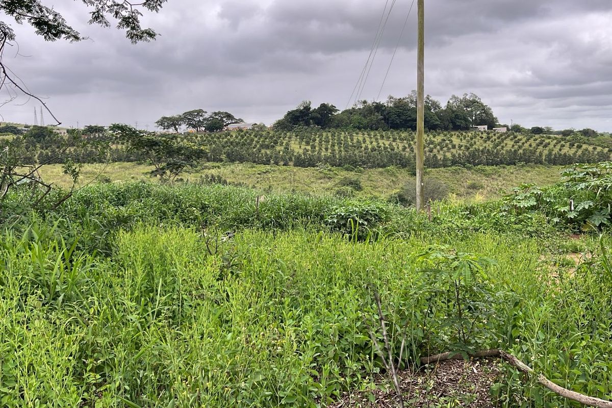 HELMSLEY COUNTRY ESTATE – NATURE | FAMILY | COUNTRY - Photo 4