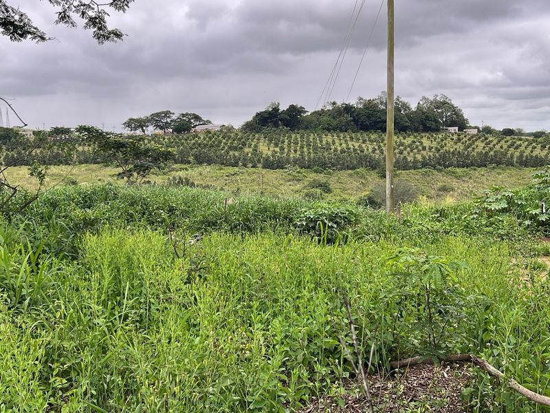 HELMSLEY COUNTRY ESTATE – NATURE | FAMILY | COUNTRY - Photo 4