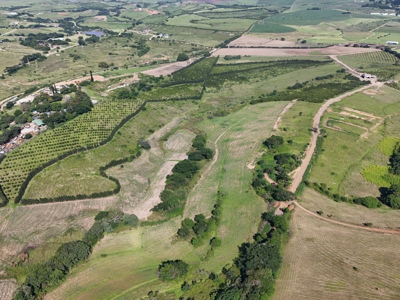HELMSLEY COUNTRY ESTATE – NATURE | FAMILY | COUNTRY - Photo 9