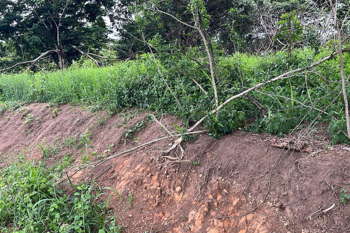 HELMSLEY COUNTRY ESTATE – NATURE | FAMILY | COUNTRY - Photo 2