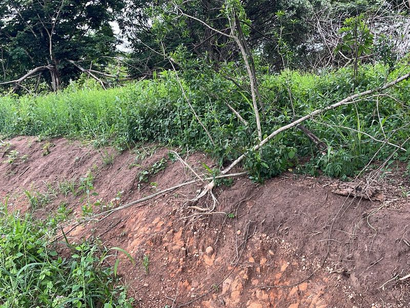 HELMSLEY COUNTRY ESTATE – NATURE | FAMILY | COUNTRY - Photo 2