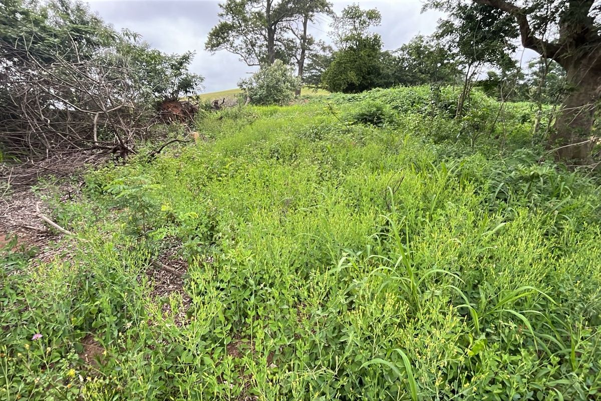 HELMSLEY COUNTRY ESTATE – NATURE | FAMILY | COUNTRY - Photo 3