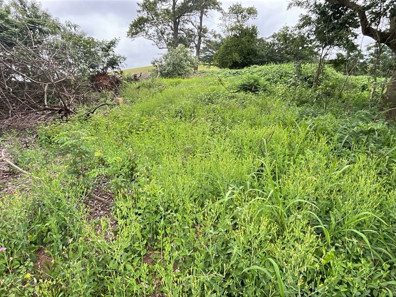 HELMSLEY COUNTRY ESTATE – NATURE | FAMILY | COUNTRY - Photo 3