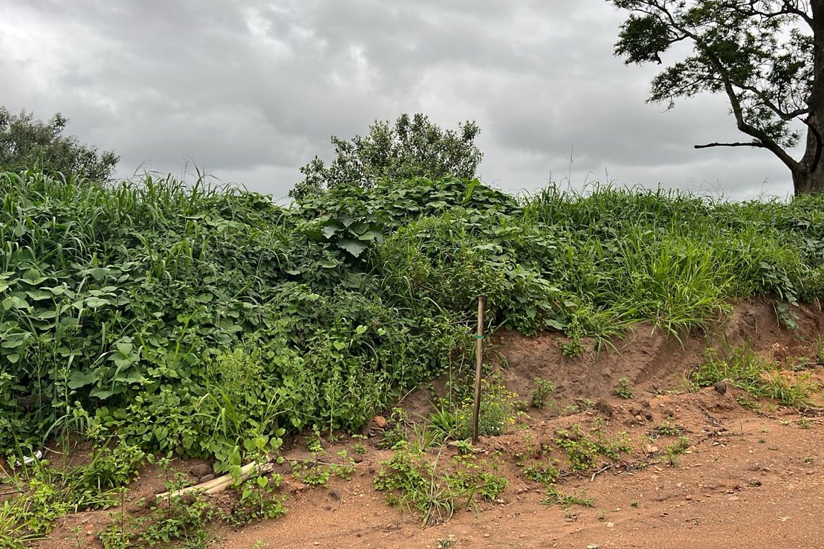 HELMSLEY COUNTRY ESTATE – NATURE | FAMILY | COUNTRY - Photo 2