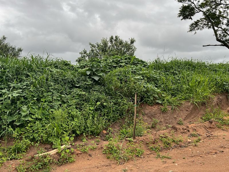 HELMSLEY COUNTRY ESTATE – NATURE | FAMILY | COUNTRY - Photo 2