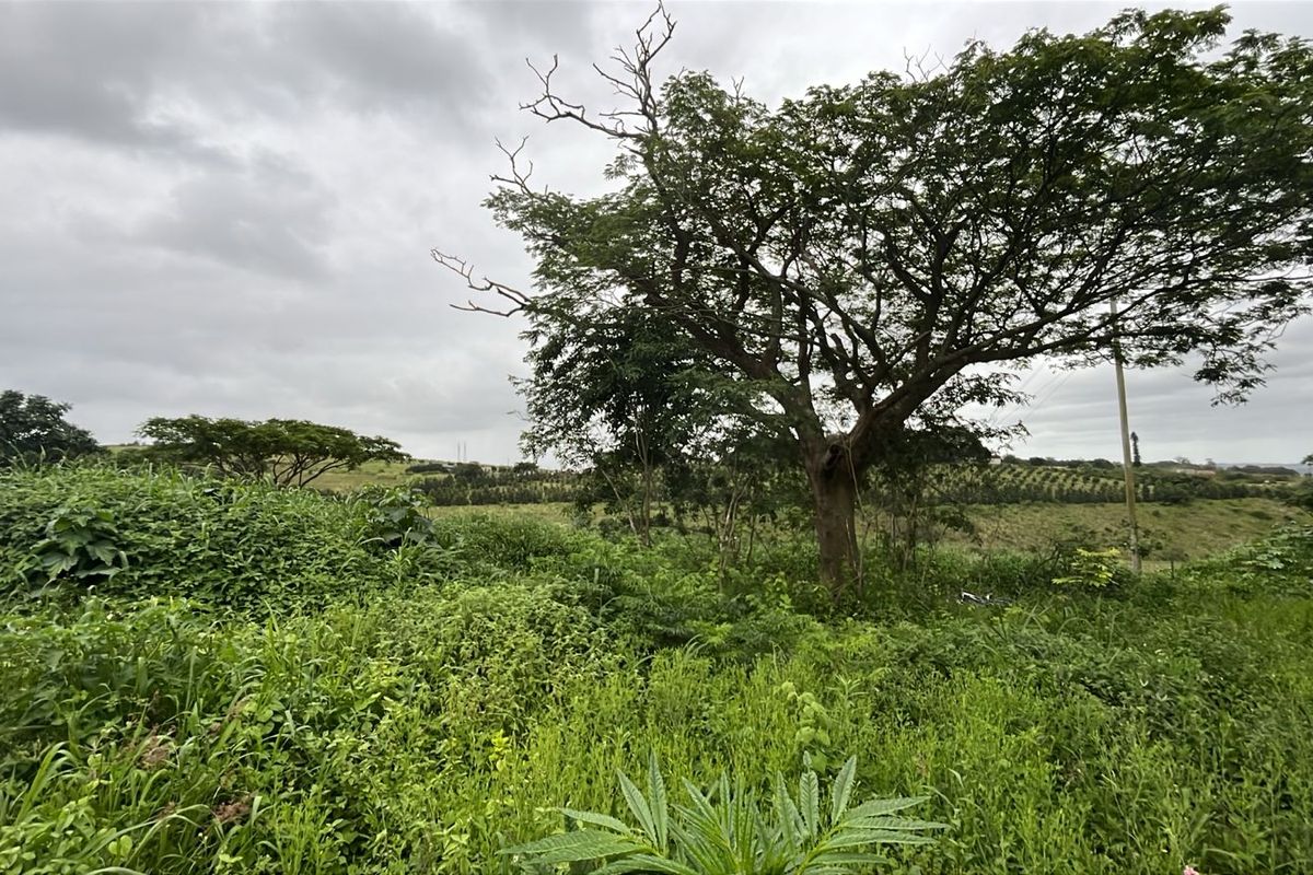 HELMSLEY COUNTRY ESTATE – NATURE | FAMILY | COUNTRY - Photo 4