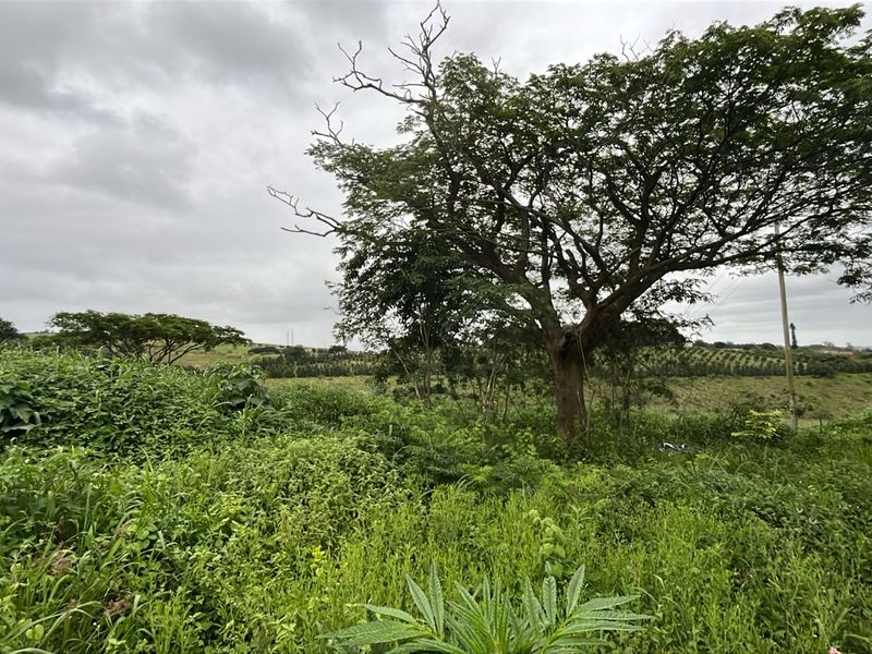 HELMSLEY COUNTRY ESTATE – NATURE | FAMILY | COUNTRY - Photo 4