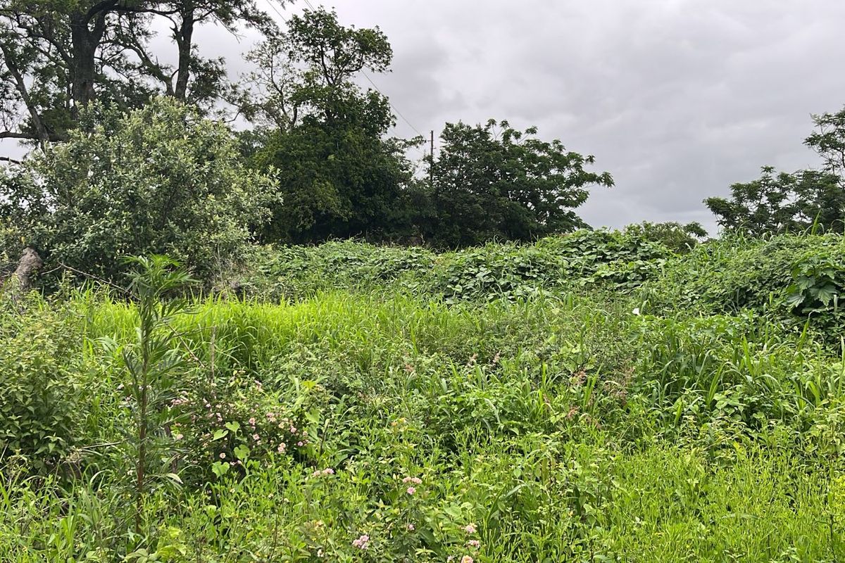 HELMSLEY COUNTRY ESTATE – NATURE | FAMILY | COUNTRY - Photo 3