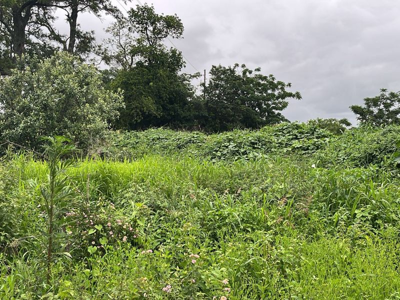 HELMSLEY COUNTRY ESTATE – NATURE | FAMILY | COUNTRY - Photo 3