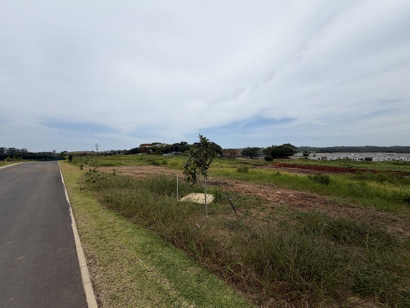 614sqm Stand in a Quiet Pocket of Lalela Estate - Photo 7