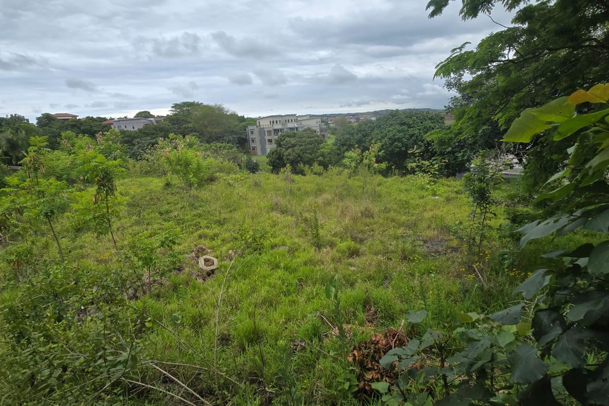A view of a vacant residential plot featuring natural vegetation and a gentle slope, overlooking the surrounding neighborhood.