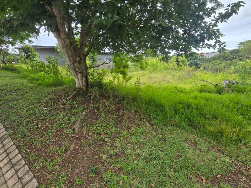 Build Your Dream Home in Secure Palm Lakes Estate - Photo 8