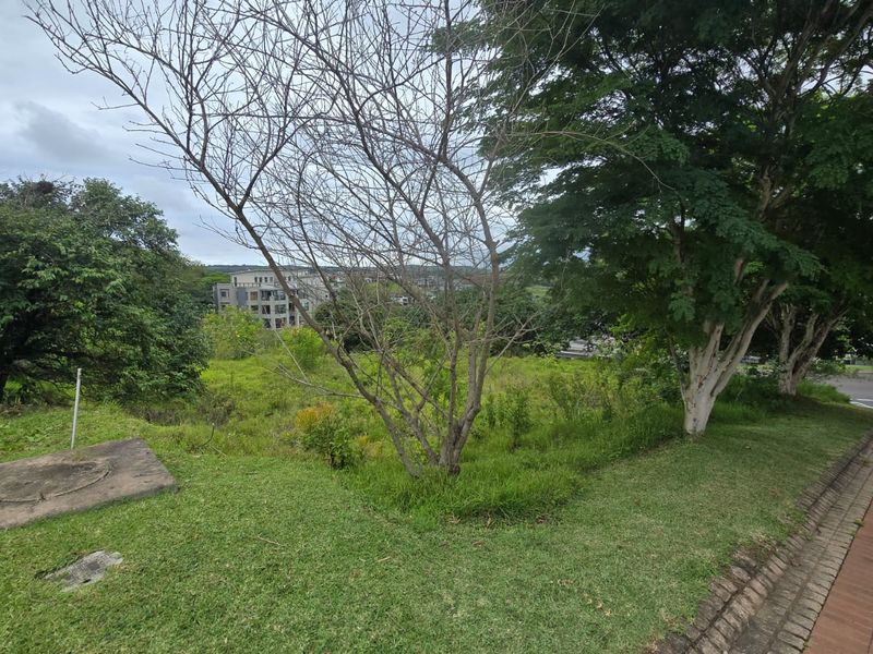 Build Your Dream Home in Secure Palm Lakes Estate - Photo 7