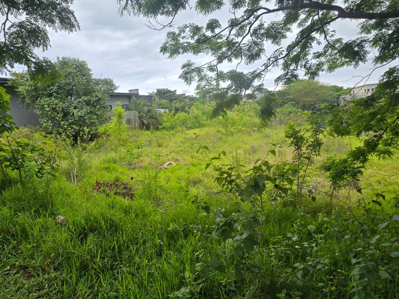 Build Your Dream Home in Secure Palm Lakes Estate - Photo 6