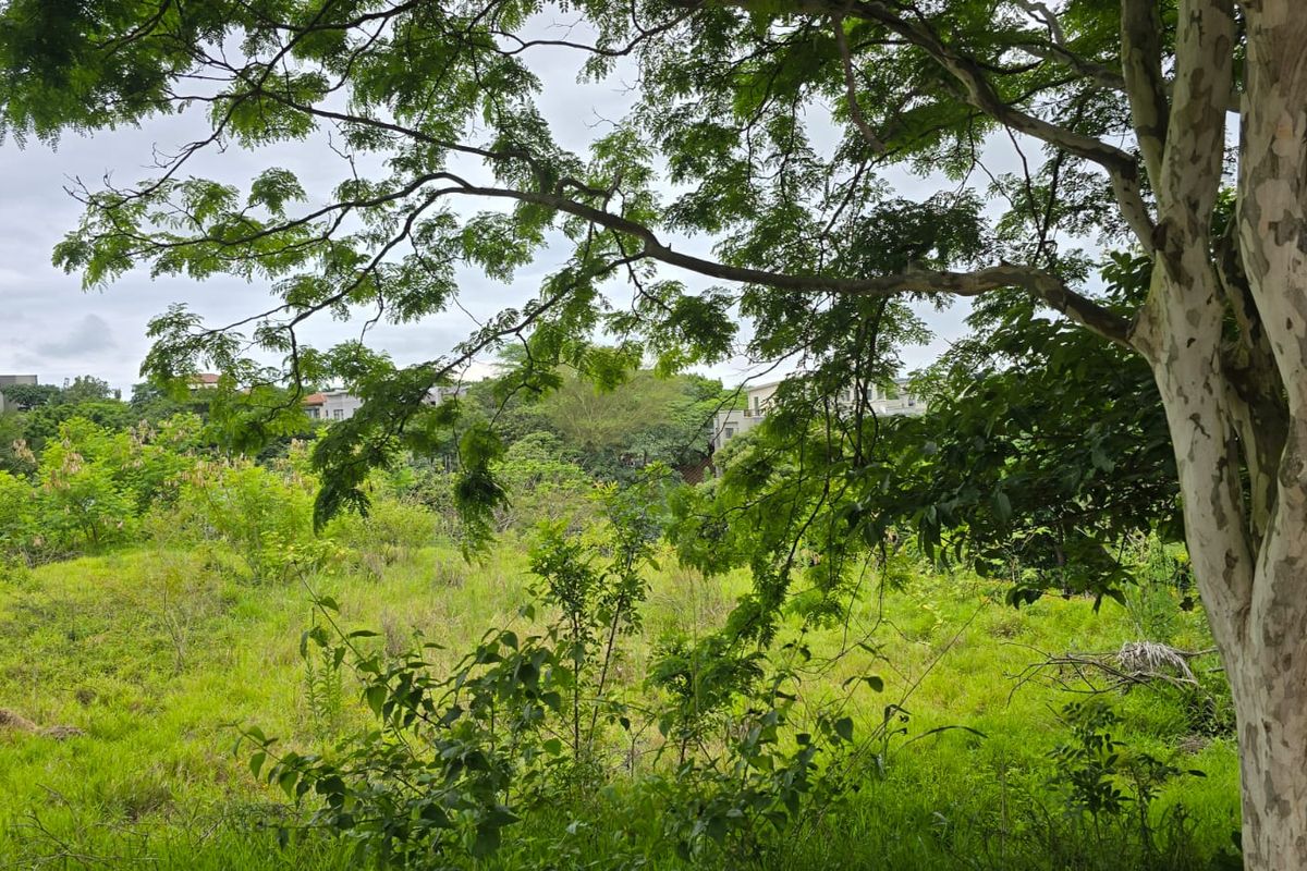 Build Your Dream Home in Secure Palm Lakes Estate - Photo 2