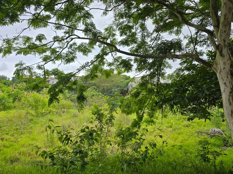 Build Your Dream Home in Secure Palm Lakes Estate - Photo 2