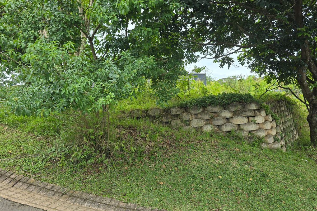 Build Your Dream Home in Secure Palm Lakes Estate - Photo 3