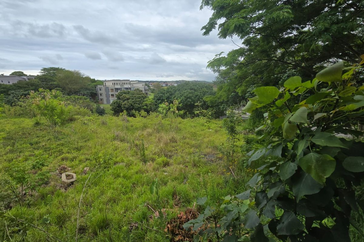 Build Your Dream Home in Secure Palm Lakes Estate - Photo 5