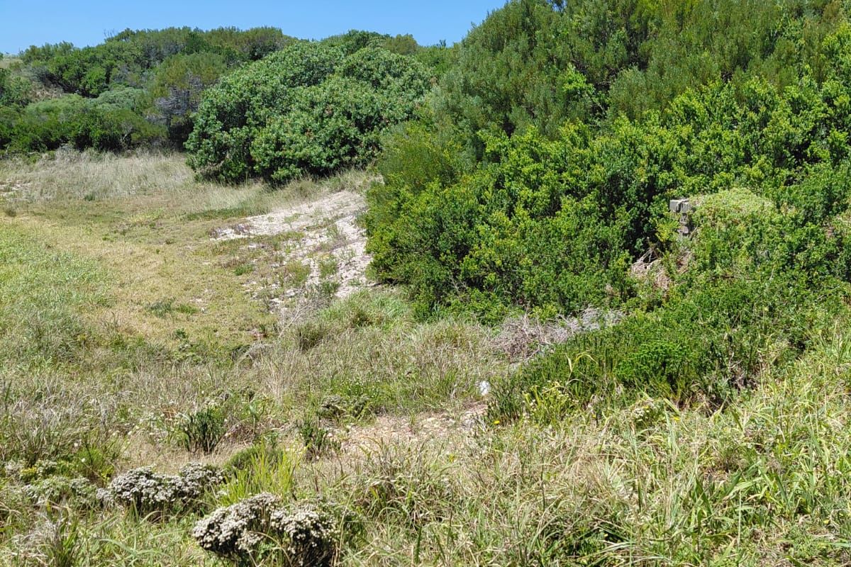 VACANT LAND  PRIME POSITION PARADISE BEACH - Photo 5