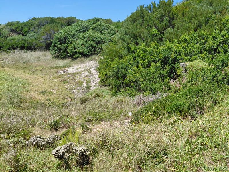 VACANT LAND  PRIME POSITION PARADISE BEACH - Photo 5