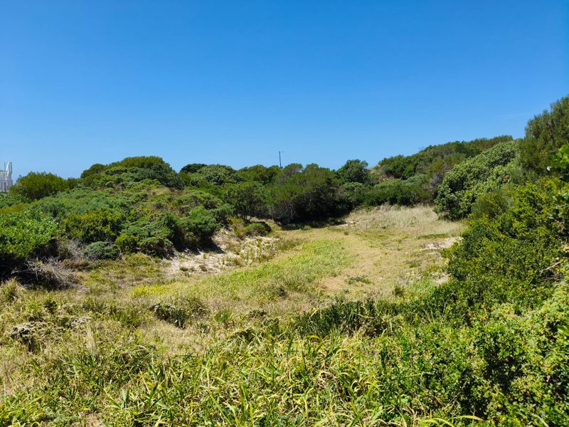 VACANT LAND  PRIME POSITION PARADISE BEACH - Photo 2