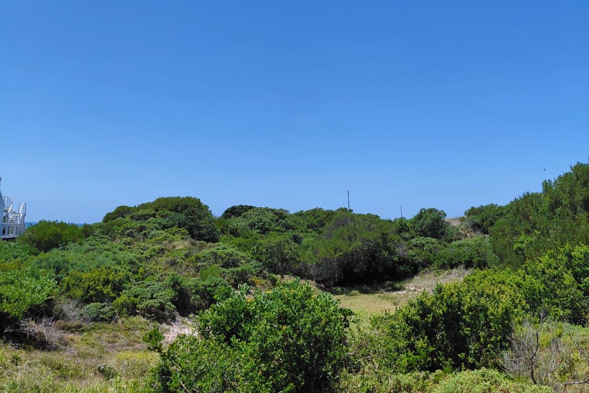 VACANT LAND  PRIME POSITION PARADISE BEACH - Photo 4