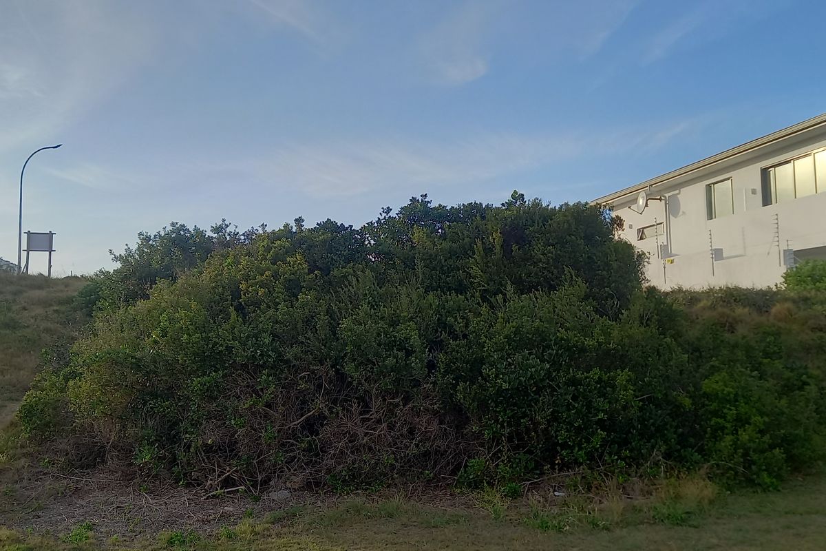 Vacant Land Residential For Sale In Jeffreys Bay - Photo 2