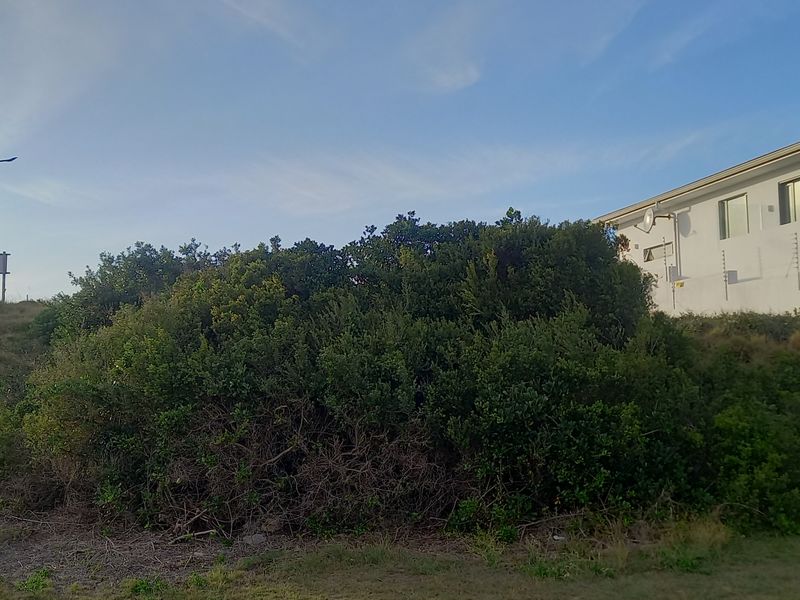 Vacant Land Residential For Sale In Jeffreys Bay - Photo 2