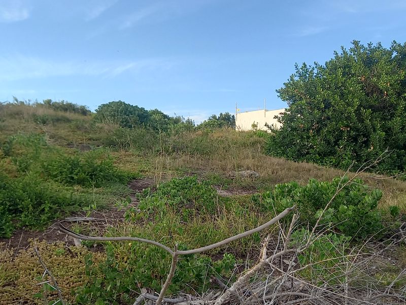 Vacant Land Residential For Sale In Jeffreys Bay - Photo 8