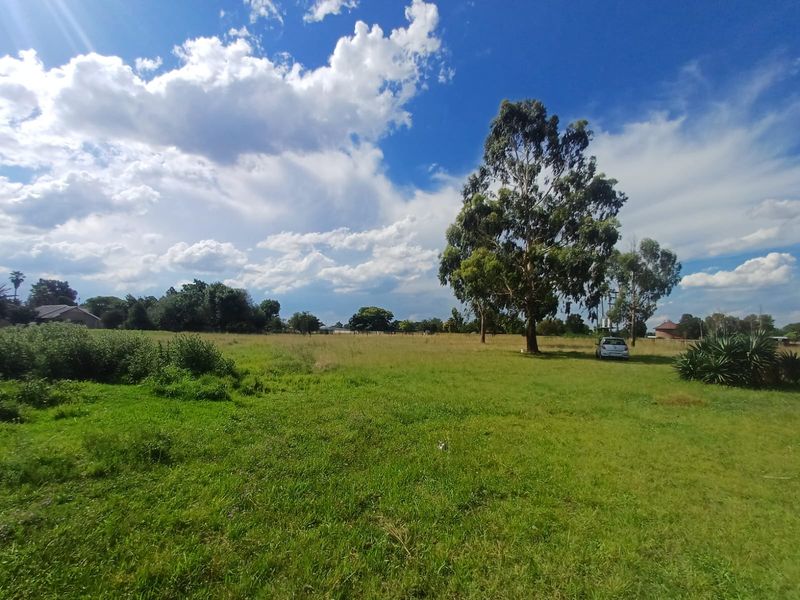 2 houses on 1 property plus free standing room - Photo 8