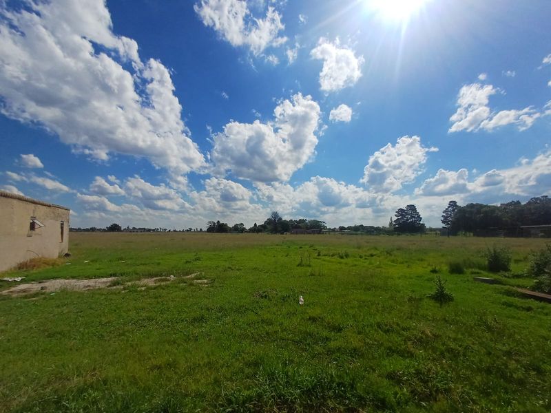 2 houses on 1 property plus free standing room - Photo 9