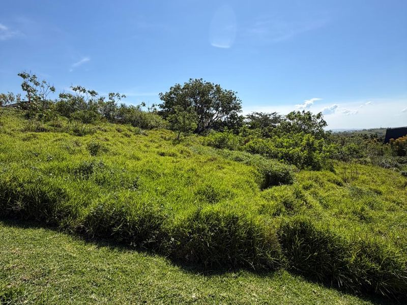 Prime 2,039 m2 Vacant Stand with Approved Building Plans in Palm Lakes Estate - Photo 8