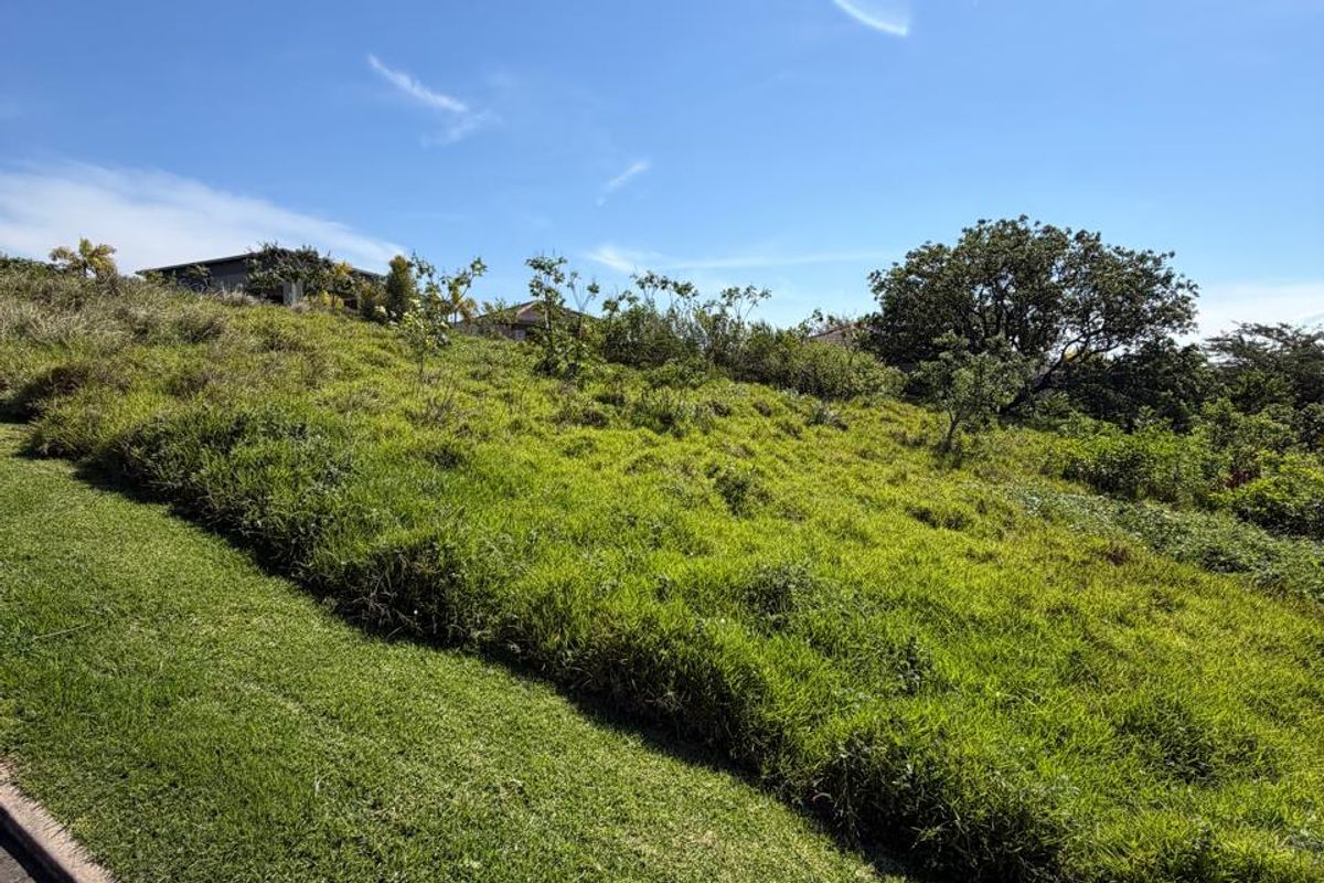 Prime 2,039 m2 Vacant Stand with Approved Building Plans in Palm Lakes Estate - Photo 3