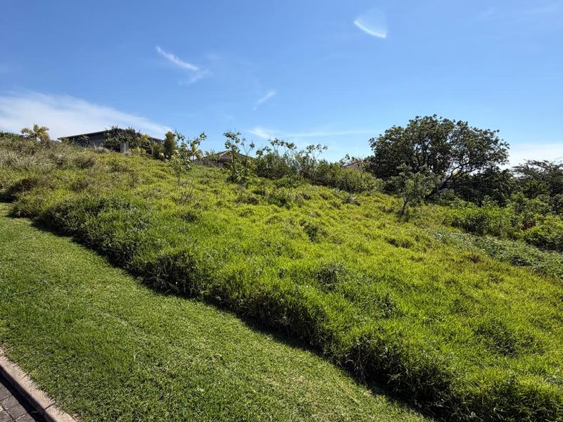 Prime 2,039 m2 Vacant Stand with Approved Building Plans in Palm Lakes Estate - Photo 3